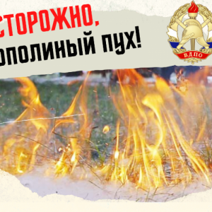 Внимание, тополиный пух! - Асбестовское городское отделение Всероссийского добровольного пожарного общества